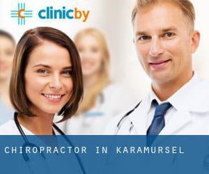Chiropractor in Karamürsel