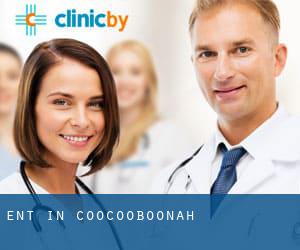 ENT in Coocooboonah