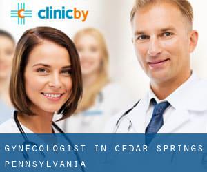 Gynecologist in Cedar Springs (Pennsylvania)