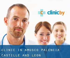 clinic in Amusco (Palencia, Castille and León)