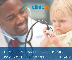 clinic in Castel del Piano (Provincia di Grosseto, Tuscany)