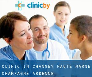 clinic in Changey (Haute-Marne, Champagne-Ardenne)