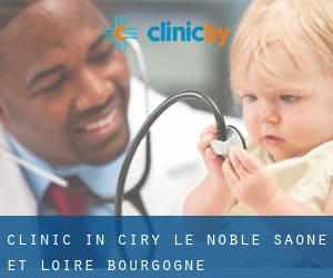 clinic in Ciry-le-Noble (Saône-et-Loire, Bourgogne)