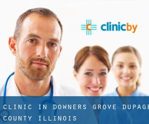 clinic in Downers Grove (DuPage County, Illinois)