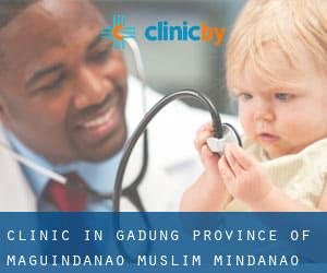clinic in Gadung (Province of Maguindanao, Muslim Mindanao)