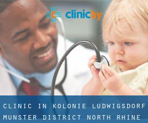 clinic in Kolonie Ludwigsdorf (Münster District, North Rhine-Westphalia)