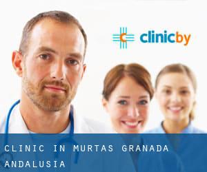 clinic in Murtas (Granada, Andalusia)