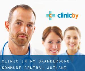 clinic in Ry (Skanderborg Kommune, Central Jutland)