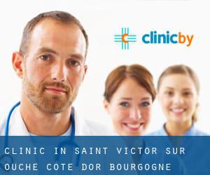 clinic in Saint-Victor-sur-Ouche (Cote d'Or, Bourgogne)