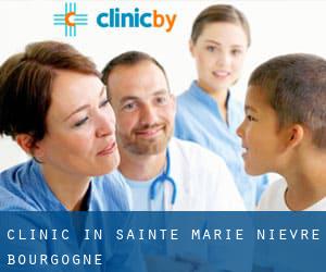clinic in Sainte-Marie (Nièvre, Bourgogne)