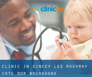 clinic in Sincey-lès-Rouvray (Cote d'Or, Bourgogne)