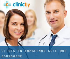 clinic in Sombernon (Cote d'Or, Bourgogne)