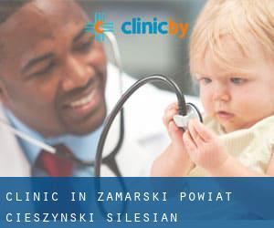 clinic in Zamarski (Powiat cieszyński, Silesian Voivodeship)